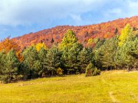 Beskid Niski